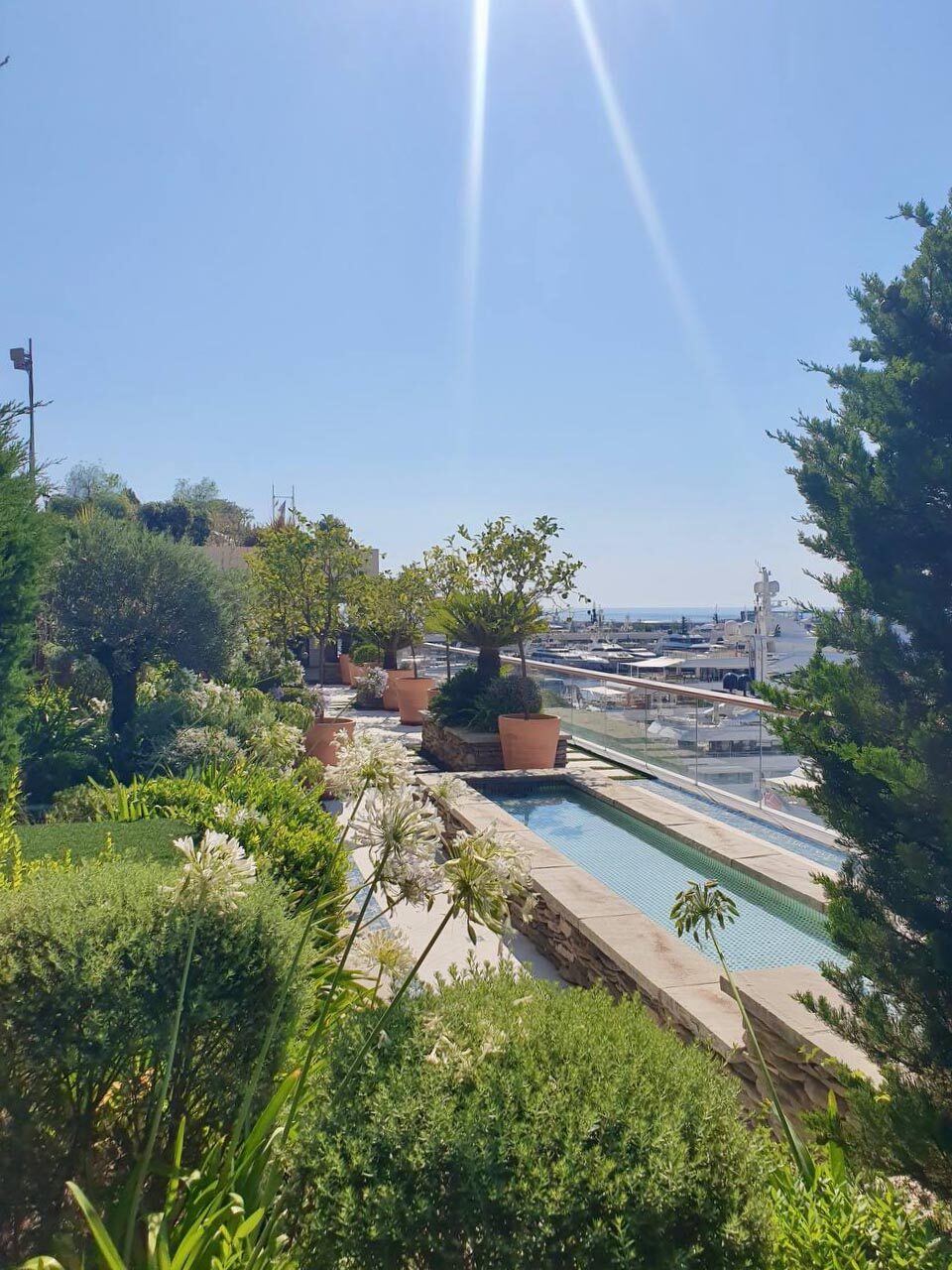 Un nuovo progetto prende vita: un'oasi su misura di fronte al porto di Monaco