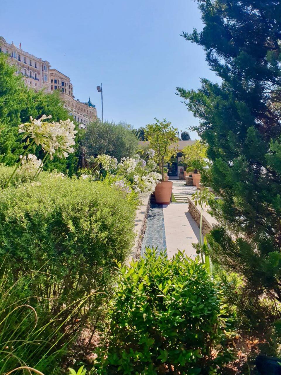 Vialetto del giardino bordato di agapanti bianchi e lavande, con filo d'acqua in pietra, Monaco
